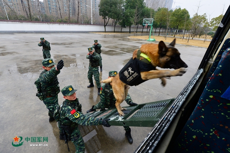 初中永州八记原文及译文——钴鉧潭西小丘记 