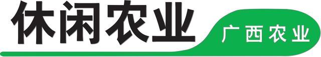 冬季也能玩采摘！打卡冬季第一新鲜美味的夏黑葡萄！ 